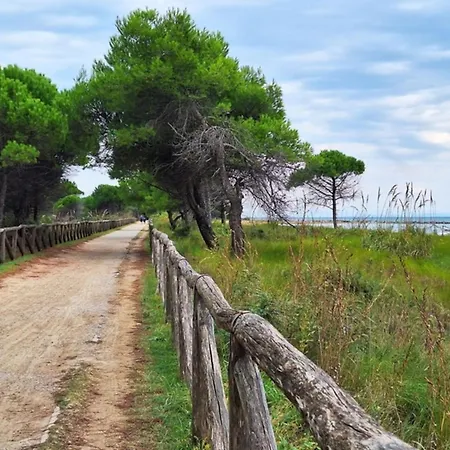 Апартаменты Seaside Bliss - Beahost