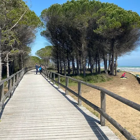 Seaside Bliss - Beahost شقة *